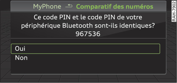 Fig. 194 Affichage du code PIN à entrer dans le téléphone portable