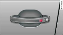 Door handle: Locking the vehicle