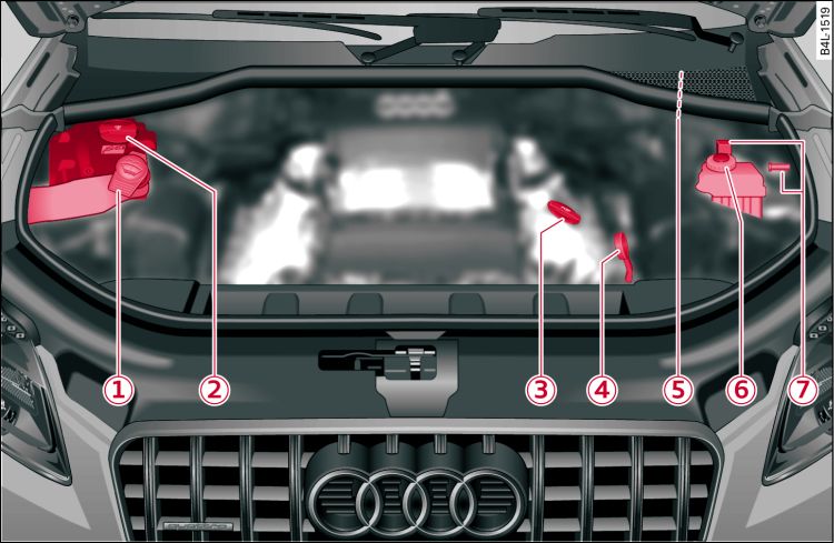 Typical locations of fluid containers, engine oil dipstick and engine oil filler cap