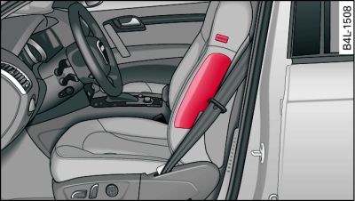 Punto del sedile del conducente in cui è installato l'airbag laterale