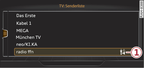 Abb. 261 TV-Senderliste