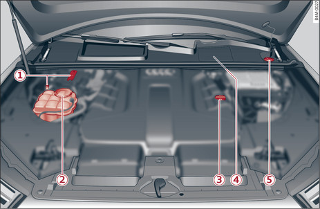 Fig. 311 Typical locations of fluid containers and engine oil filler cap