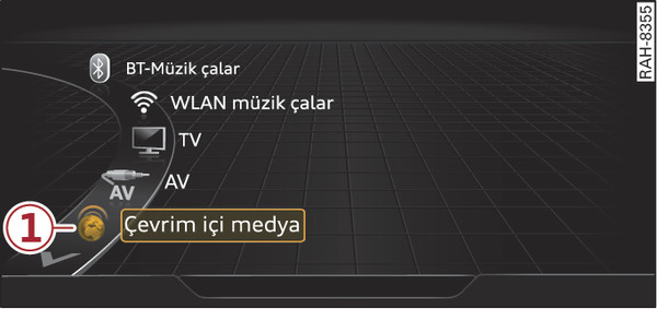 Şek. 251Çevrim içi medya