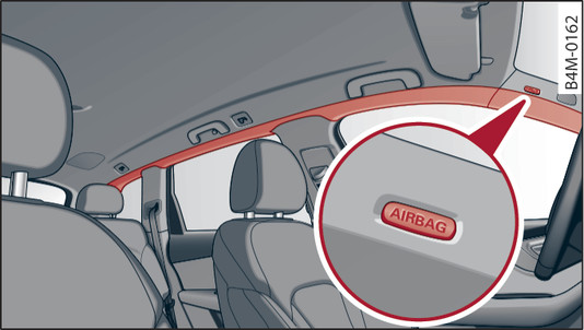 Fig. 313 Location of head-protection airbags above the doors