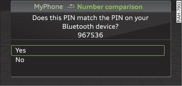 Fig. 223 PIN display for entry on mobile phone