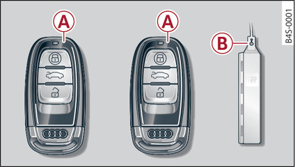 Fig. 17 Keys supplied with the vehicle