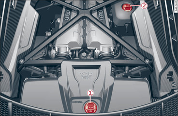 Fig. 161 Typical locations of fluid containers and engine oil filler cap