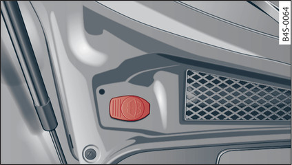 Fig. 166 Plenum chamber: Cap of windscreen washer container