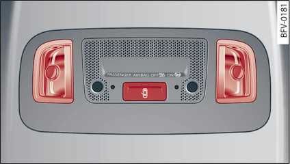 Fig. 39 Headliner: Interior lights