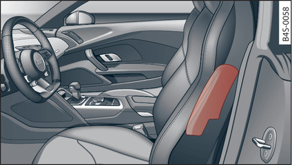 Fig. 155Lugar de montaje del airbag lateral en el asiento del conductor