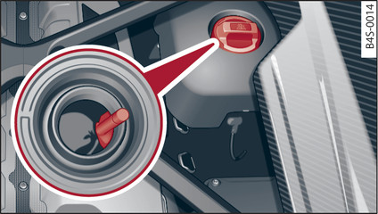 Fig. 163Vano motore: contrassegni sul serbatoio del liquido di raffreddamento