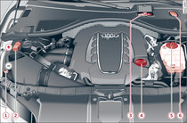 Typical locations of fluid containers and engine oil filler cap