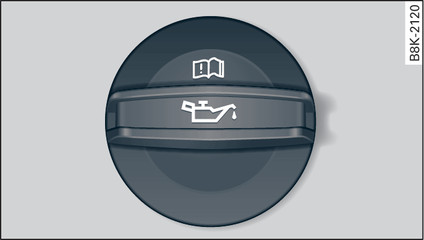 Fig. 223 Engine compartment: Engine oil filler cap