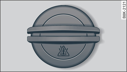 Fig. 224 Engine compartment: Cap of coolant expansion tank