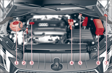 Fig. 221 Typical locations of fluid containers and engine oil filler cap