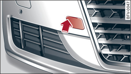 Fig. 249 Front bumper: Cover cap