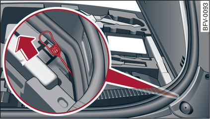 Fig. 218 Luggage compartment: Cover in the right side trim