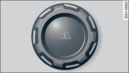 Fig. 216 Engine compartment: Cap of coolant expansion tank (example)