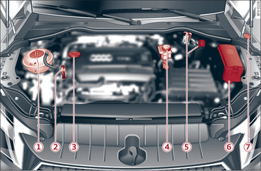 Fig. 213 Typical locations of fluid containers and engine oil filler cap