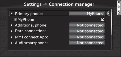 Fig. 172 Connection manager