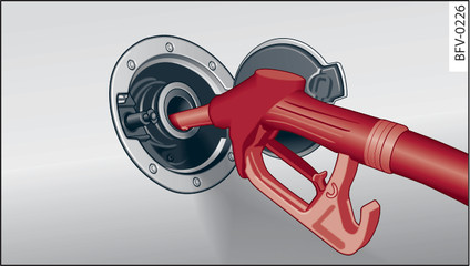 Fig. 207Lado trasero derecho del vehículo: Pistola del surtidor introducida