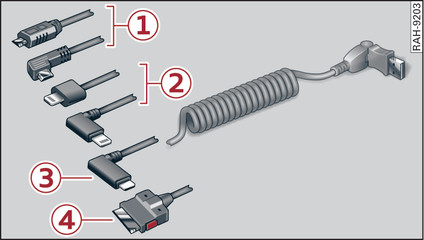 Fig. 163 Accessoires d origine Audi : adaptateurs USB