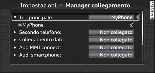 Fig. 172Manager collegamento