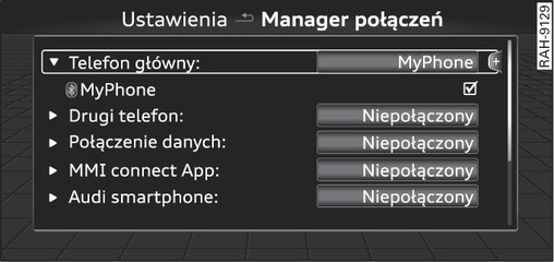 Rys. 172Manager połączeń